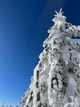 北八ヶ岳ロープウェイに投稿された画像（2025/1/19）