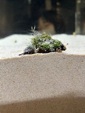 京都水族館に投稿された画像（2025/1/19）