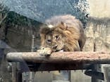 東武動物公園に投稿された画像（2025/1/19）