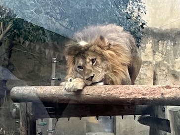 東武動物公園に投稿された画像（2025/1/19）