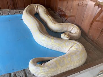 東武動物公園に投稿された画像（2025/1/19）