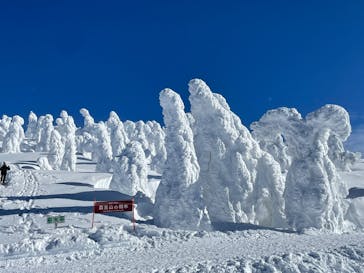 阿仁スキー場に投稿された画像（2025/1/19）