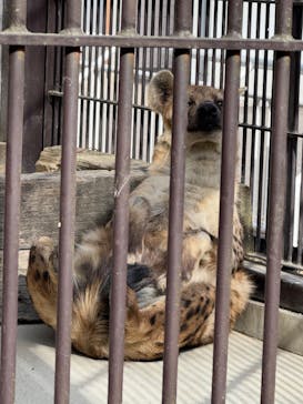 宇都宮動物園に投稿された画像（2025/1/19）