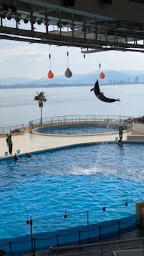 マリンワールド海の中道に投稿された画像（2025/1/19）
