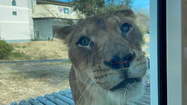 多摩動物公園に投稿された画像（2025/1/19）