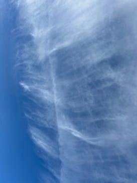 東映太秦映画村に投稿された画像（2025/1/19）