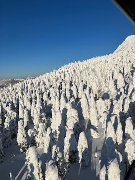 蔵王ロープウェイに投稿された画像（2025/1/19）