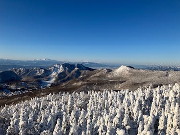 蔵王ロープウェイに投稿された画像（2025/1/19）