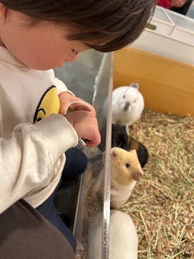 Moff アニマル カフェ イーアス 高尾店に投稿された画像（2025/1/19）