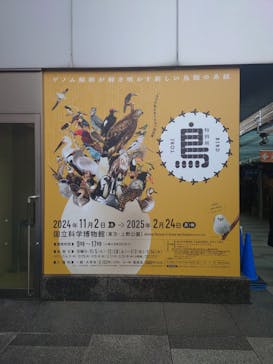 特別展「鳥 ～ゲノム解析が解き明かす新しい鳥類の系統～」国立科学博物館に投稿された画像（2025/1/19）