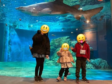 しながわ水族館に投稿された画像（2025/1/19）