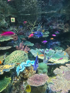 サンシャイン水族館に投稿された画像（2025/1/19）