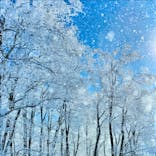 阿仁スキー場に投稿された画像（2025/1/19）