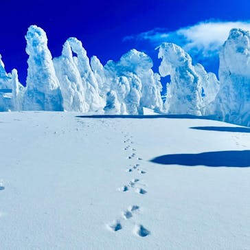 阿仁スキー場に投稿された画像（2025/1/19）