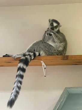 アニタッチ 東京ドームシティに投稿された画像（2025/1/19）