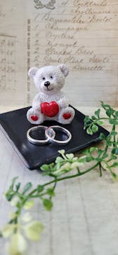 Caravella（カラベラ）に投稿された画像（2025/1/19）