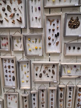 HandMade In Japan Fes' 冬(2026)に投稿された画像（2025/1/19）