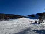 白樺高原国際スキー場に投稿された画像（2025/1/19）