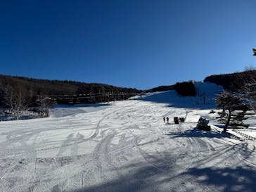 白樺高原国際スキー場に投稿された画像（2025/1/19）