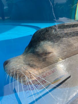 サンシャイン水族館に投稿された画像（2025/1/19）