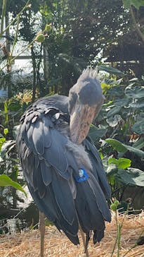 神戸どうぶつ王国に投稿された画像（2025/1/19）