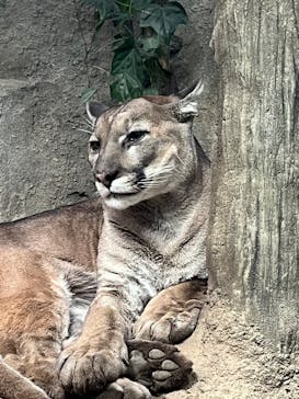 神戸どうぶつ王国に投稿された画像（2025/1/19）