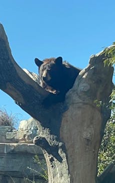神戸どうぶつ王国に投稿された画像（2025/1/19）