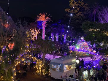 江の島シーキャンドルに投稿された画像（2025/1/19）