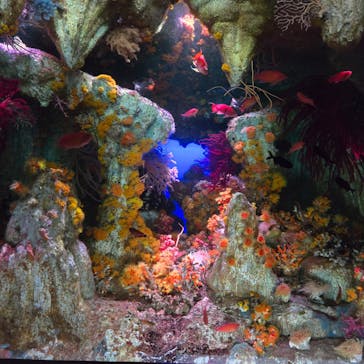 サンシャイン水族館に投稿された画像（2025/1/19）