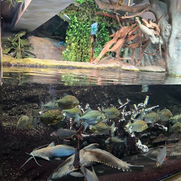 サンシャイン水族館に投稿された画像（2025/1/19）