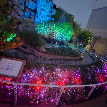 サンシャイン水族館に投稿された画像（2025/1/19）