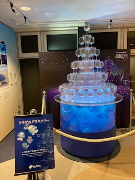 新江ノ島水族館に投稿された画像（2025/1/19）