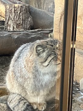 那須どうぶつ王国に投稿された画像（2025/1/19）