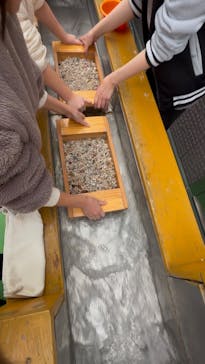 Discovery Worldに投稿された画像（2025/1/19）