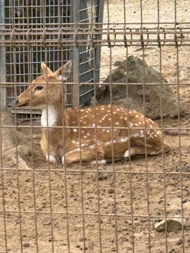 東武動物公園に投稿された画像（2025/1/19）