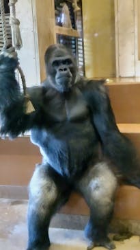 名古屋市東山動植物園に投稿された画像（2025/1/19）