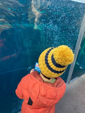 環境水族館アクアマリンふくしまに投稿された画像（2025/1/19）