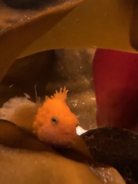 環境水族館アクアマリンふくしまに投稿された画像（2025/1/19）