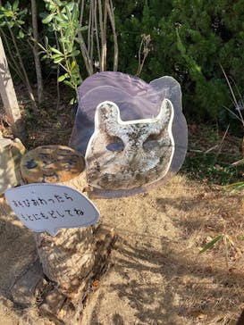 環境水族館アクアマリンふくしまに投稿された画像（2025/1/19）