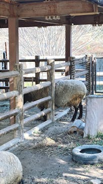 名古屋市東山動植物園に投稿された画像（2025/1/19）