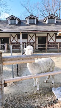 名古屋市東山動植物園に投稿された画像（2025/1/19）