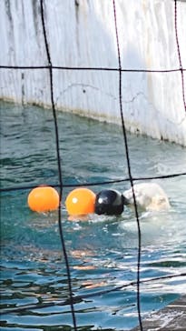 名古屋市東山動植物園に投稿された画像（2025/1/19）