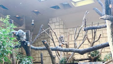 名古屋市東山動植物園に投稿された画像（2025/1/19）