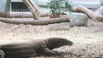 名古屋市東山動植物園に投稿された画像（2025/1/19）