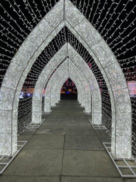 神戸イルミナージュに投稿された画像（2025/1/19）