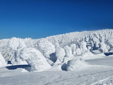 阿仁スキー場に投稿された画像（2025/1/19）
