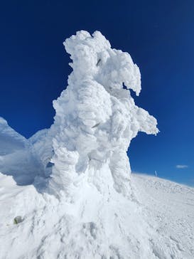 阿仁スキー場に投稿された画像（2025/1/19）