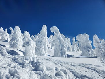 阿仁スキー場に投稿された画像（2025/1/19）