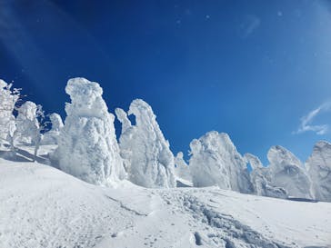 阿仁スキー場に投稿された画像（2025/1/19）