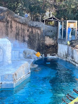 天王寺動物園に投稿された画像（2025/1/19）